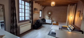Appartement typique au coeur du vieux Tours